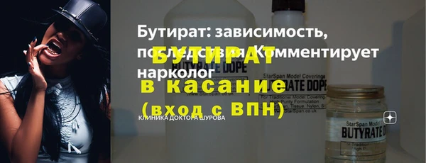 индика Гусиноозёрск