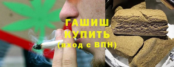 индика Гусиноозёрск